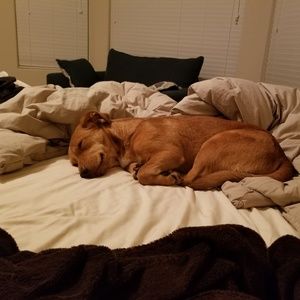 Meet your Posher, Mike